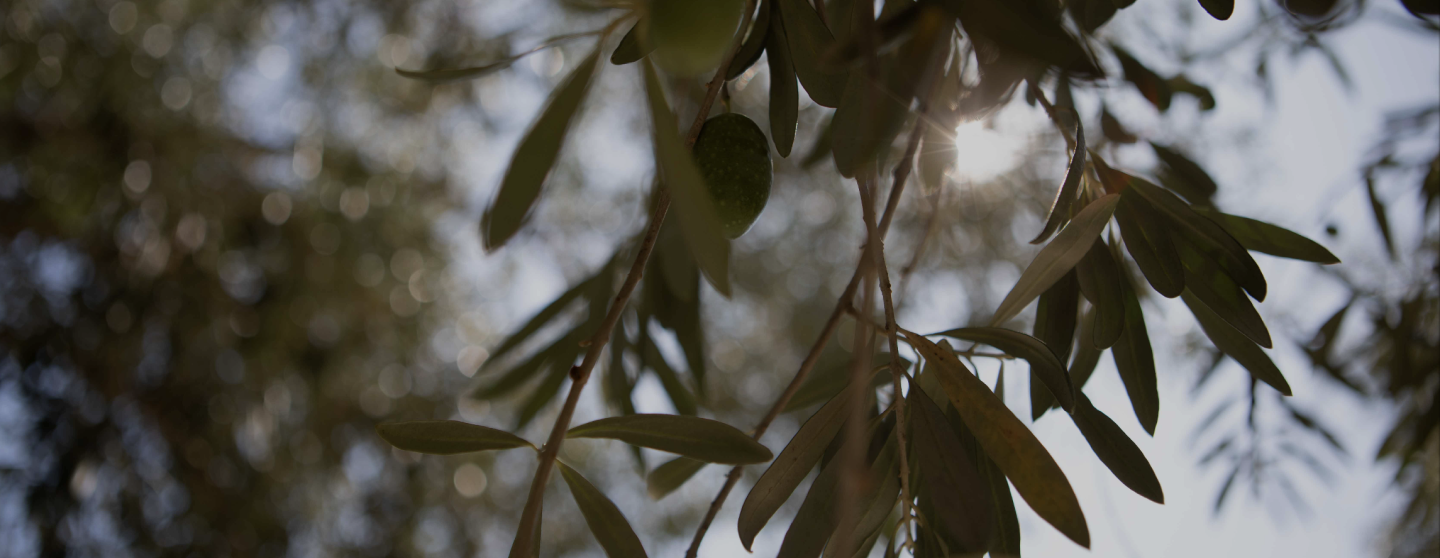 image-98-7